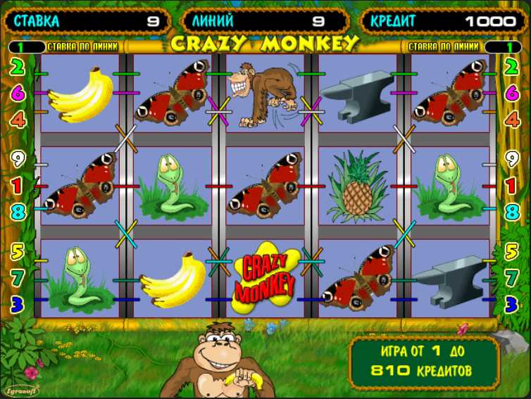 Crazy Monkey